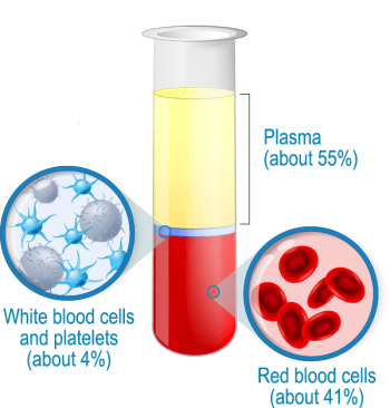 blood-structure-prf (1)